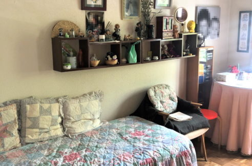 IMG_8242-retocada-492x324