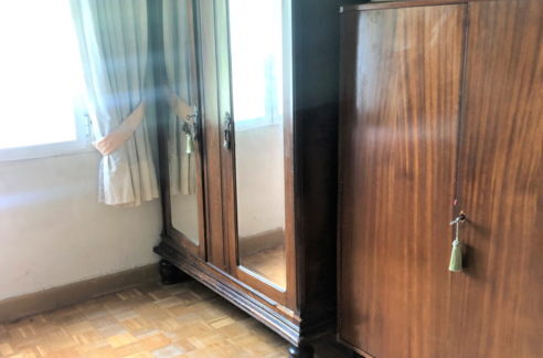 IMG_8243-retocada-492x324