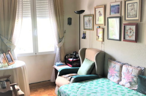 IMG_8244-retocada-492x324