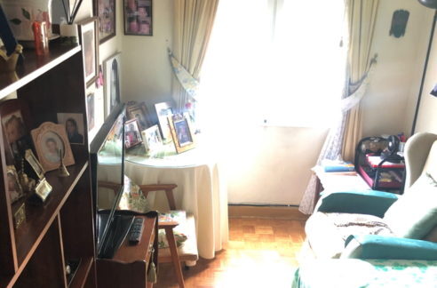 IMG_8245-retocada-492x324