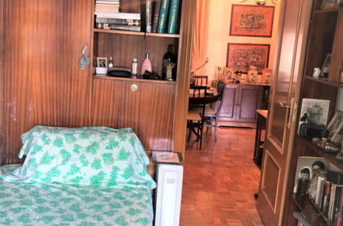 IMG_8248-retocada-492x324