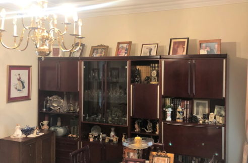 IMG_8251-retocada-492x324