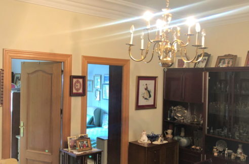 IMG_8252-retocada-492x324