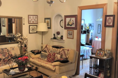 IMG_8254-retocada-492x324