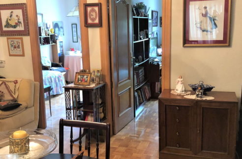 IMG_8255-retocada-492x324