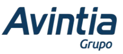 avintia-grupo